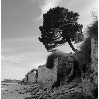 Quiberon © NG 2019
