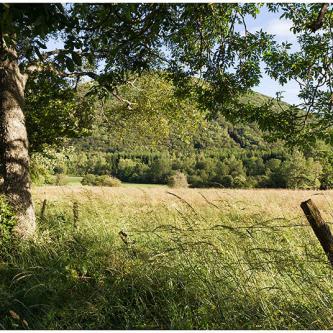 Monts Dômes © NG 2024