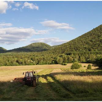 Monts Dômes © NG 2024