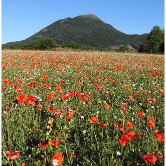 Puy de Dôme © NG 2024