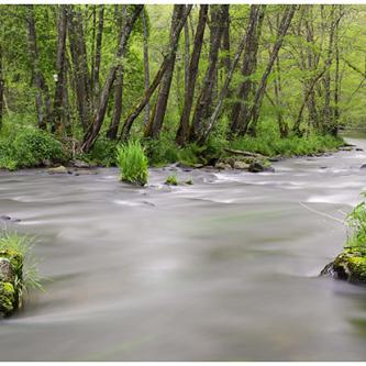 Peschadoire © NG 2018